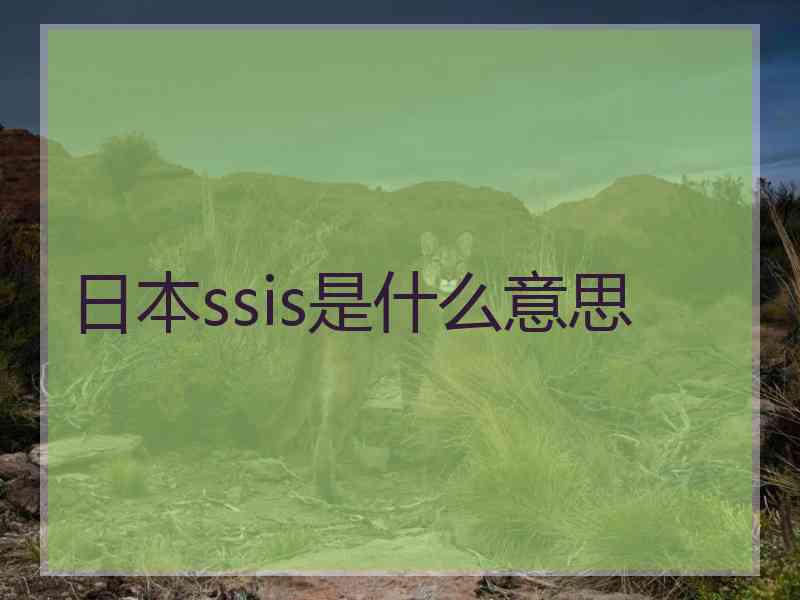 日本ssis是什么意思
