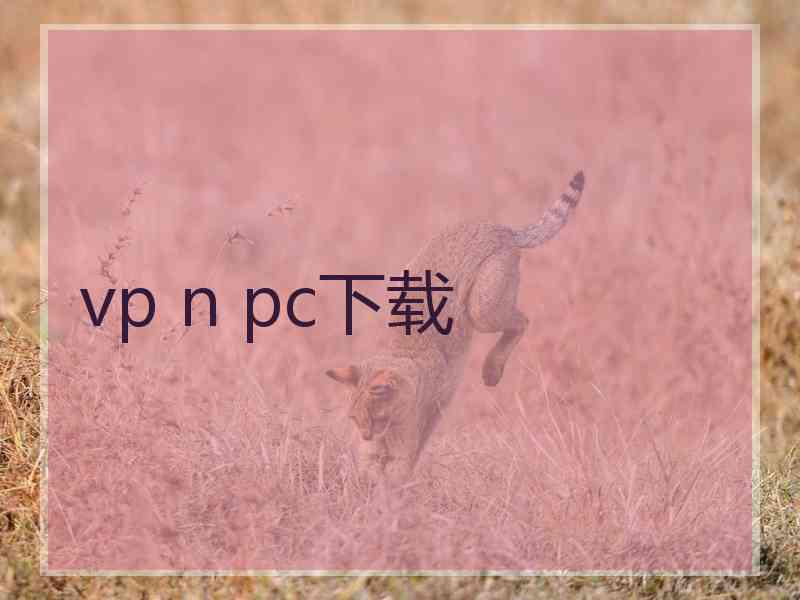 vp n pc下载