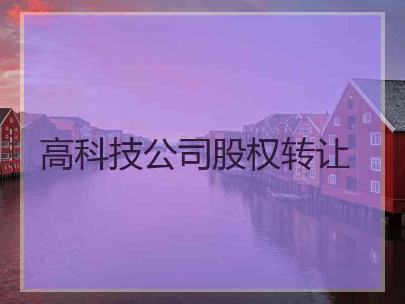 高科技公司股权转让