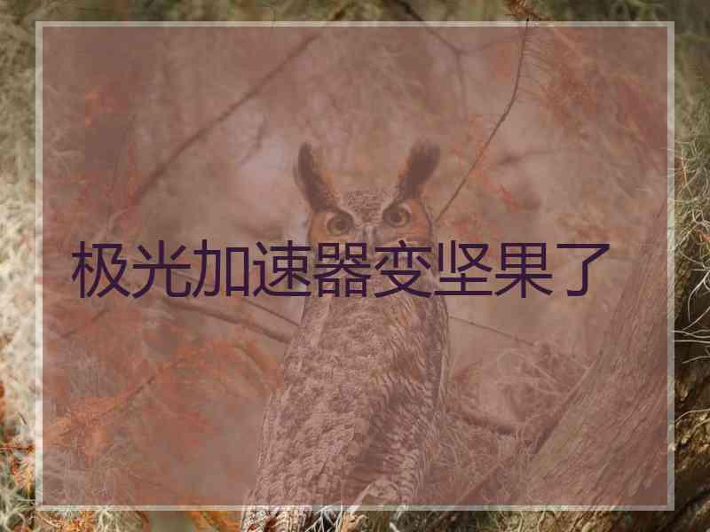 极光加速器变坚果了