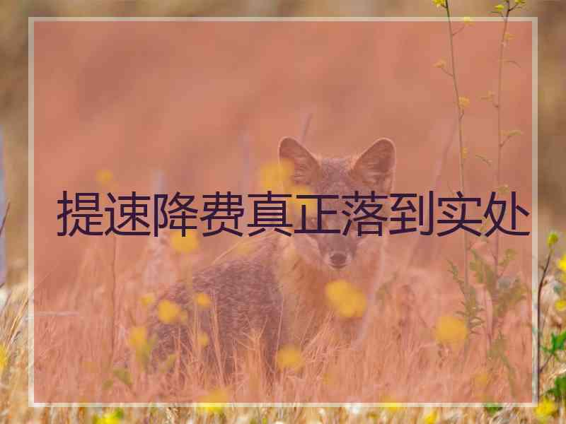 提速降费真正落到实处
