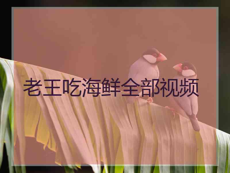 老王吃海鲜全部视频