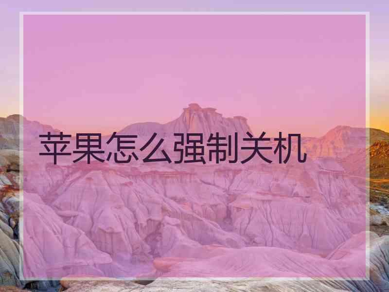苹果怎么强制关机
