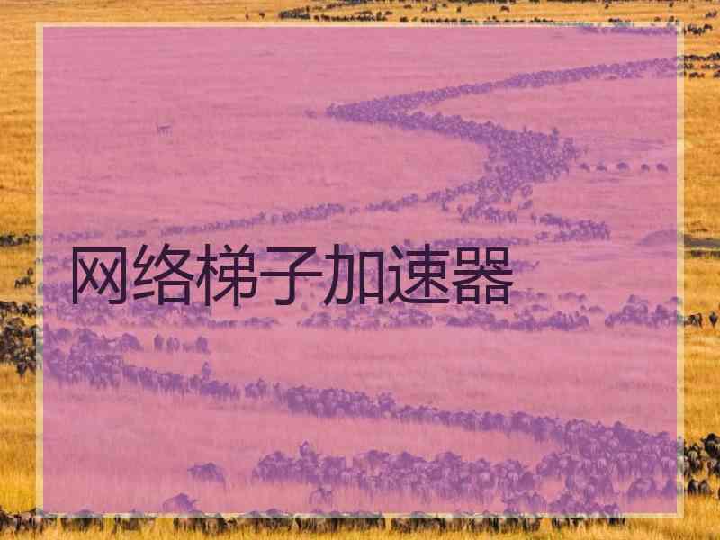 网络梯子加速器