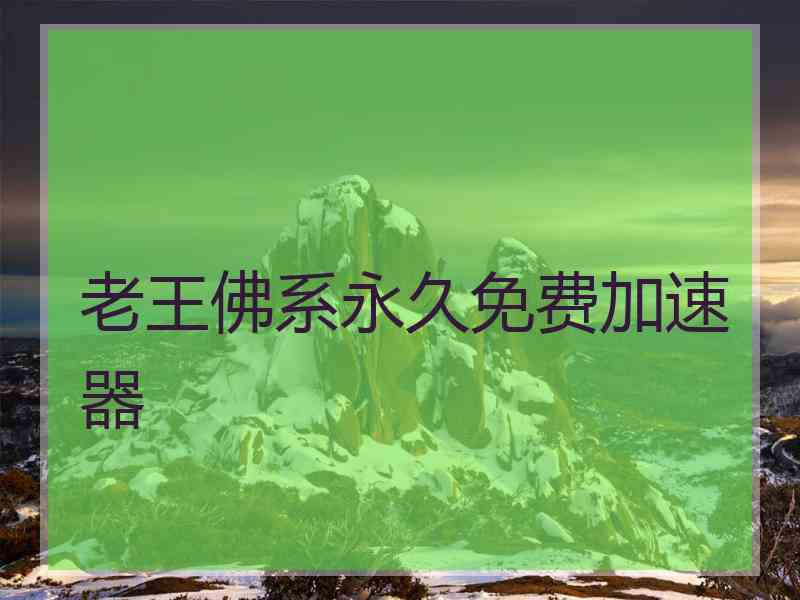 老王佛系永久免费加速器