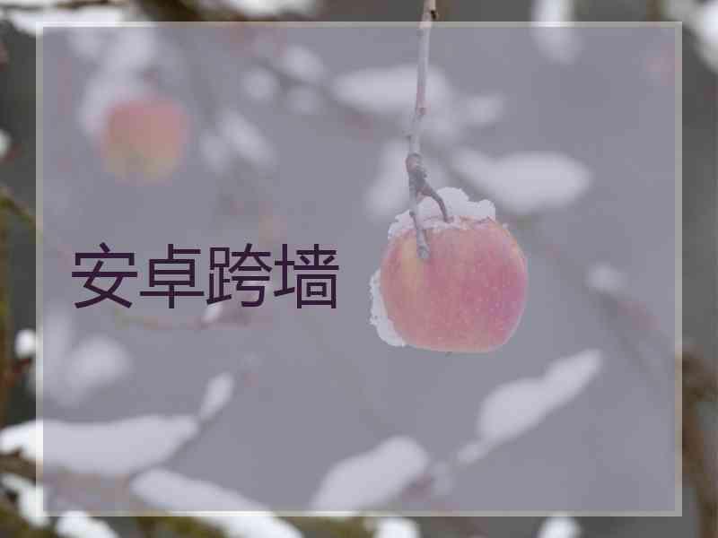 安卓跨墙