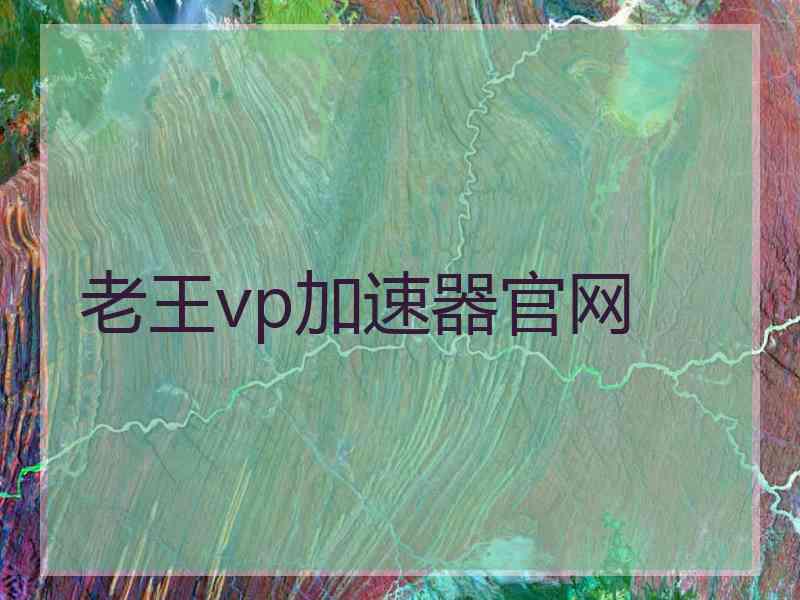 老王vp加速器官网