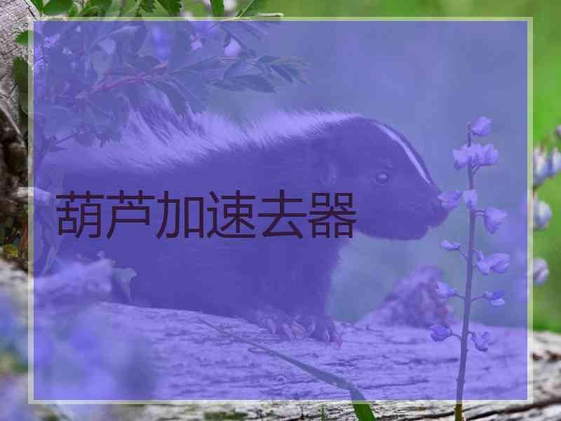 葫芦加速去器