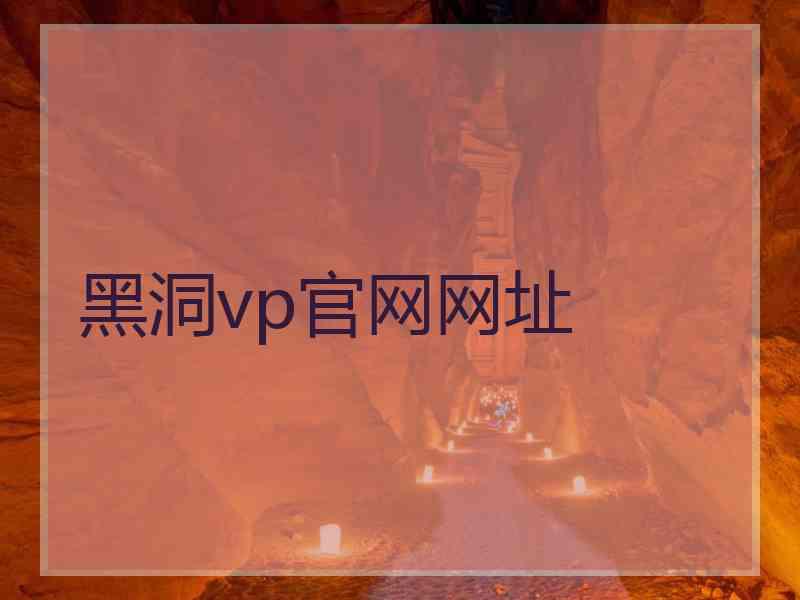 黑洞vp官网网址