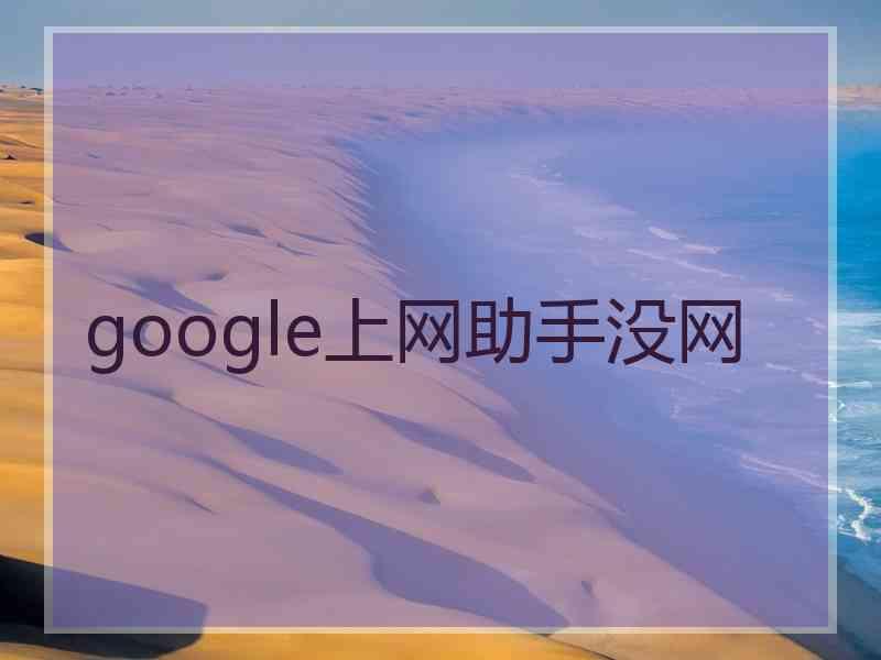 google上网助手没网