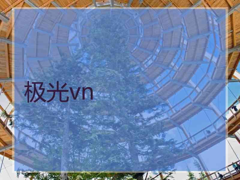 极光vn