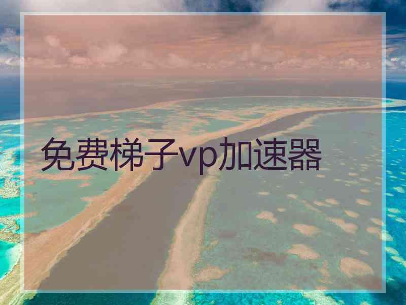 免费梯子vp加速器