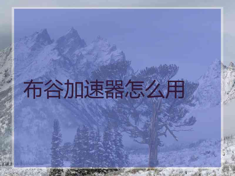 布谷加速器怎么用