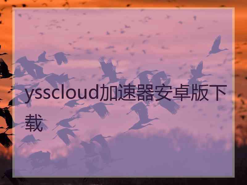 ysscloud加速器安卓版下载