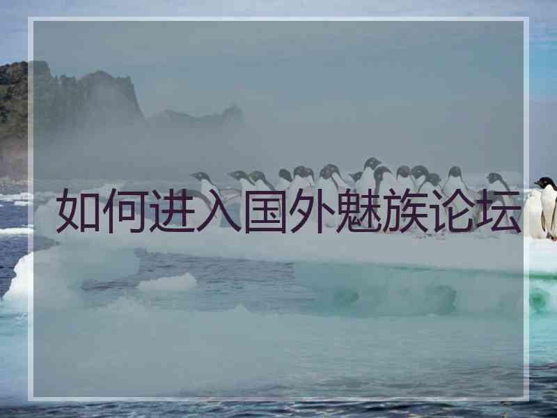 如何进入国外魅族论坛