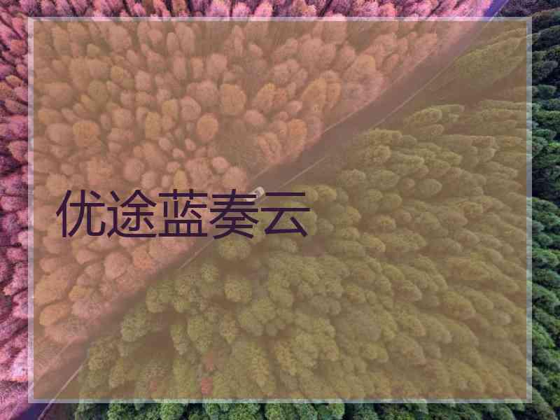优途蓝奏云