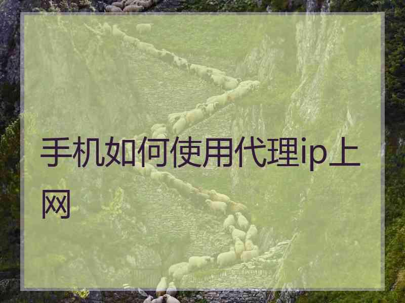 手机如何使用代理ip上网