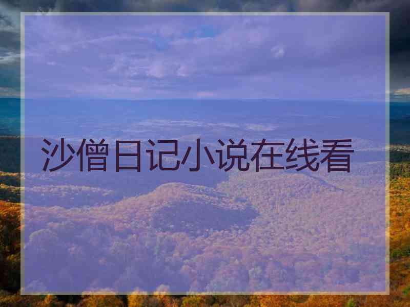 沙僧日记小说在线看