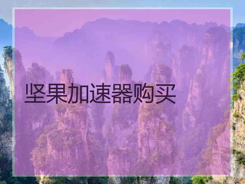 坚果加速器购买