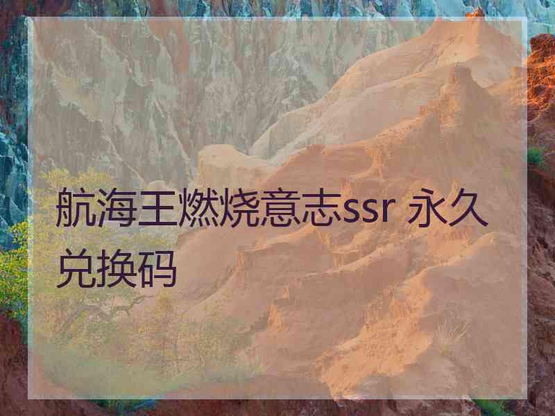 航海王燃烧意志ssr 永久兑换码