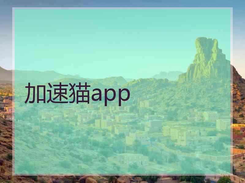 加速猫app