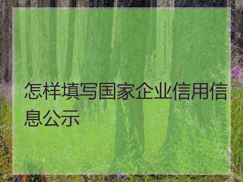 怎样填写国家企业信用信息公示