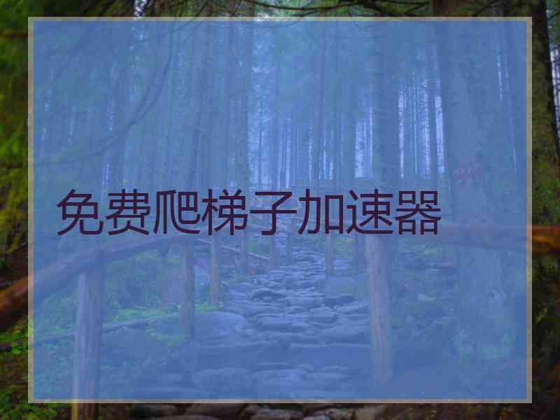 免费爬梯子加速器