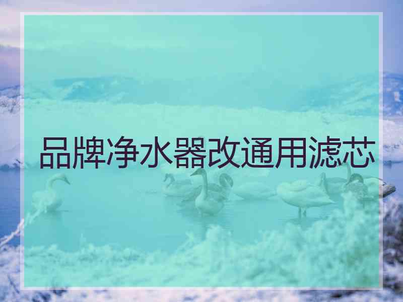 品牌净水器改通用滤芯