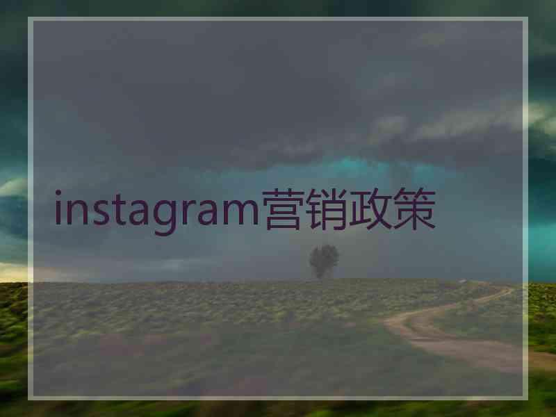 instagram营销政策