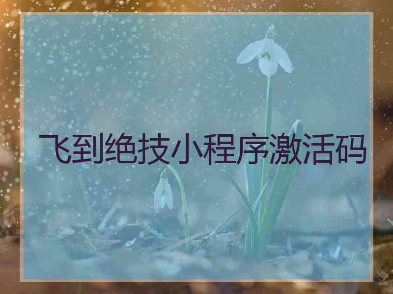 飞到绝技小程序激活码