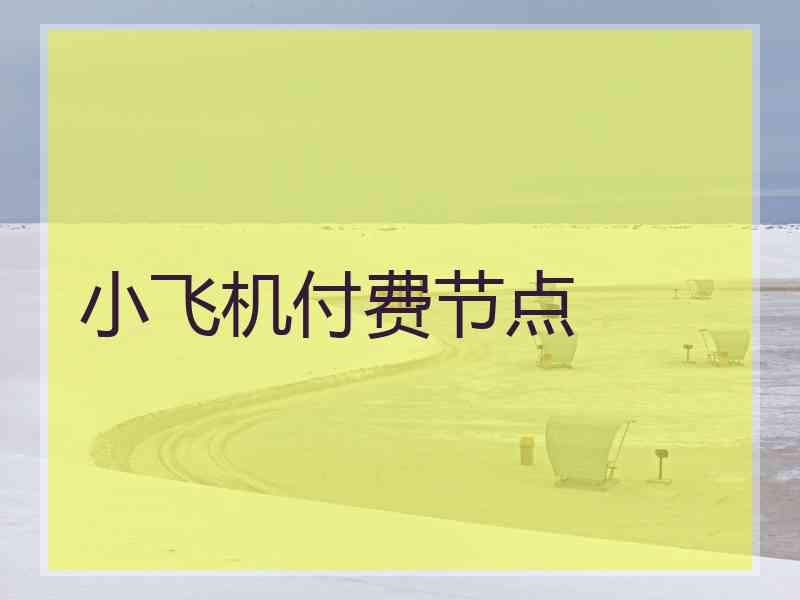 小飞机付费节点