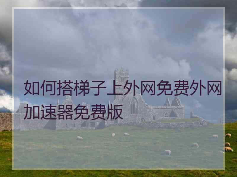 如何搭梯子上外网免费外网加速器免费版