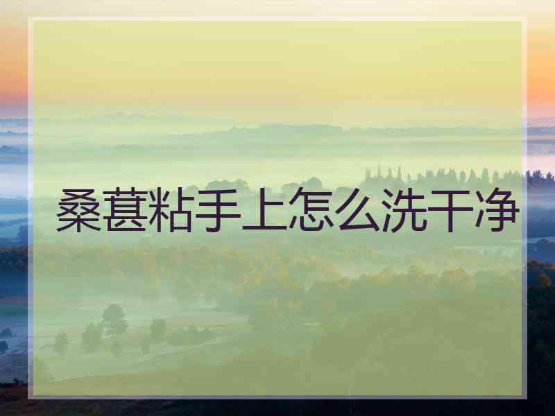 桑葚粘手上怎么洗干净