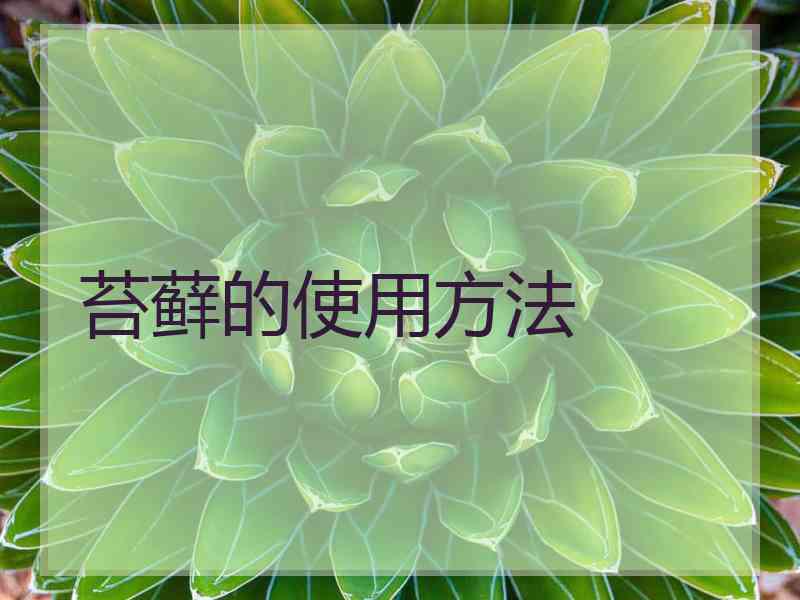 苔藓的使用方法
