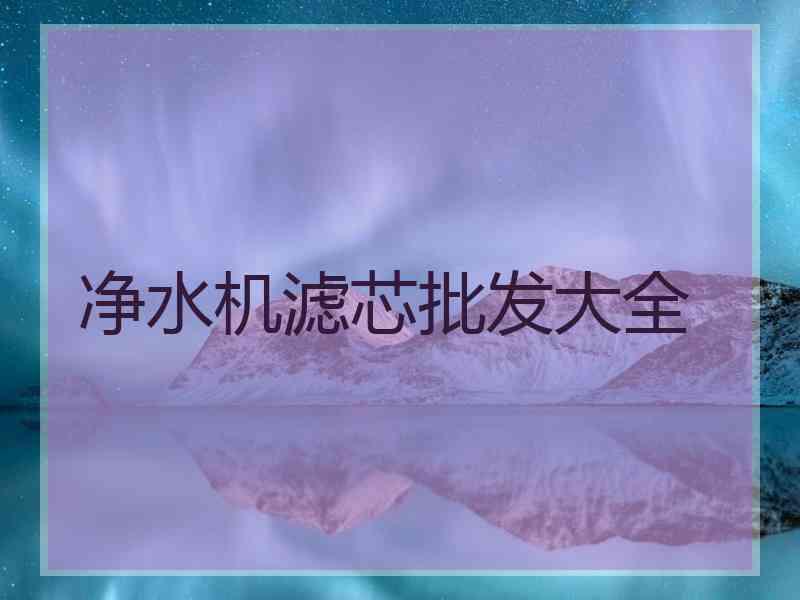 净水机滤芯批发大全