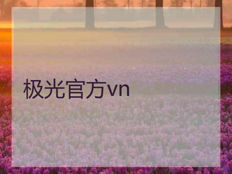 极光官方vn