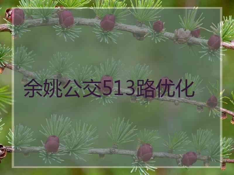 余姚公交513路优化