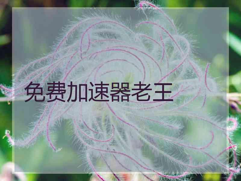 免费加速器老王