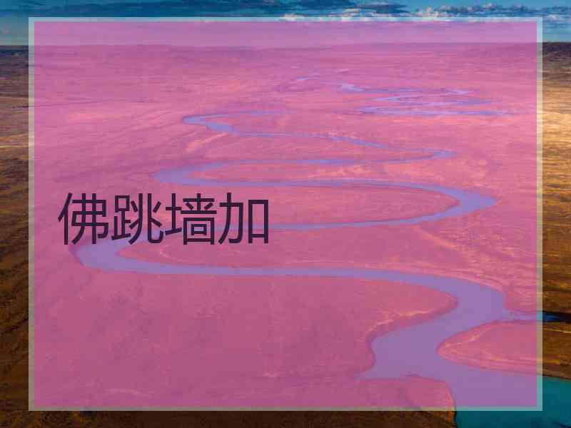 佛跳墙加