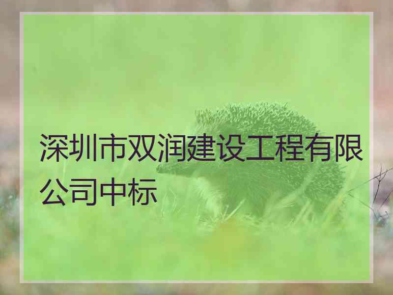 深圳市双润建设工程有限公司中标