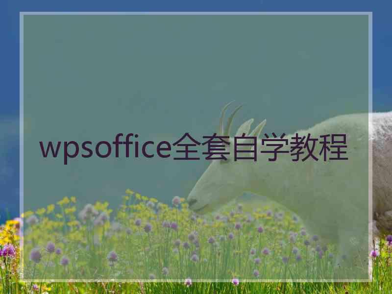 wpsoffice全套自学教程