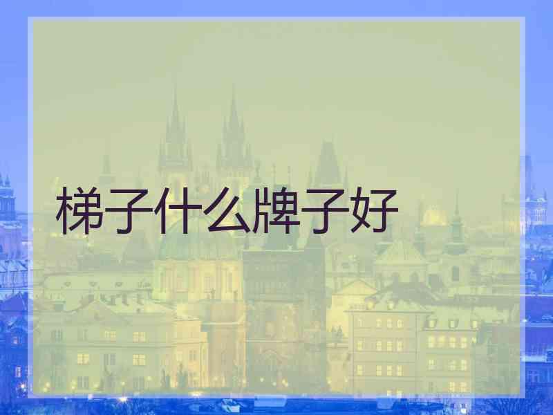 梯子什么牌子好