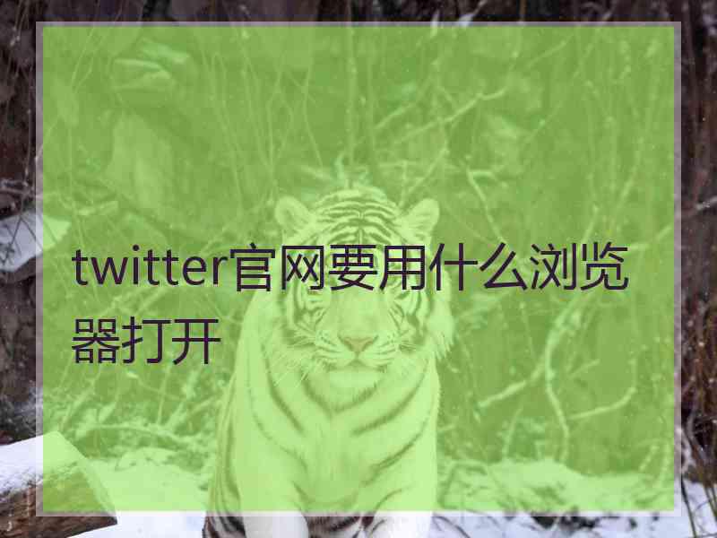 twitter官网要用什么浏览器打开