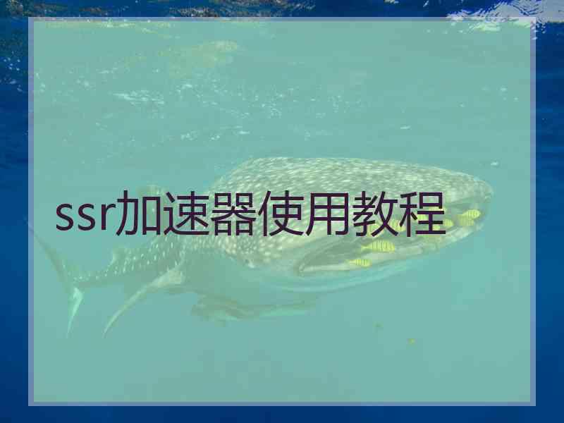 ssr加速器使用教程