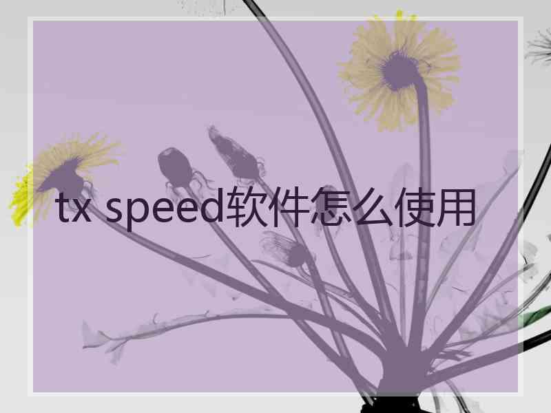 tx speed软件怎么使用