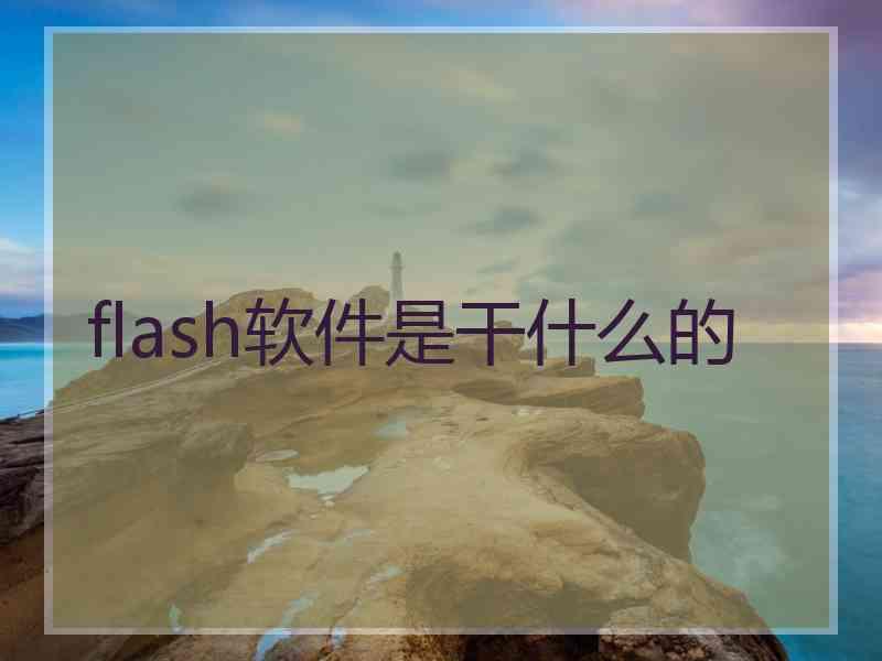 flash软件是干什么的