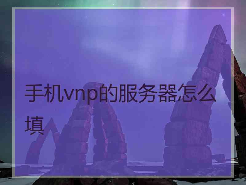手机vnp的服务器怎么填