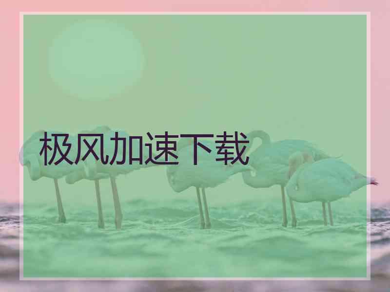 极风加速下载