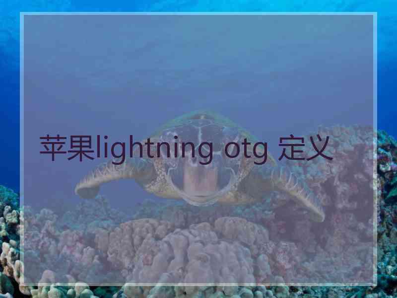 苹果lightning otg 定义