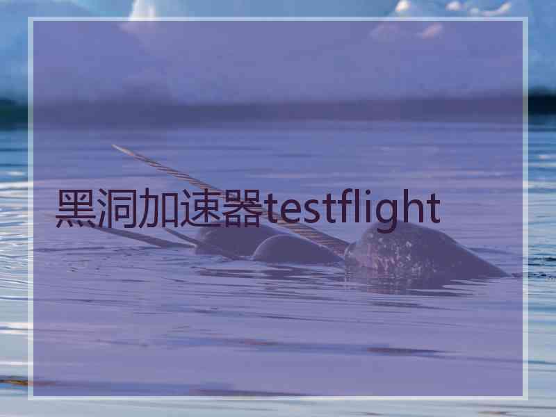 黑洞加速器testflight